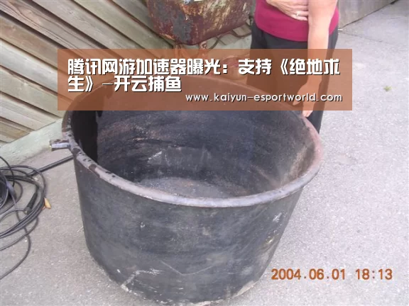 腾讯网游加速器曝光:支持《绝地求生》-开云捕鱼(图4) 开云真人平台